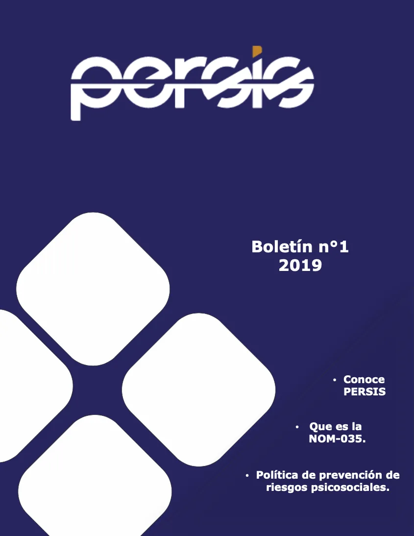 Portada del Boletín Informativo Pidasa número 1.